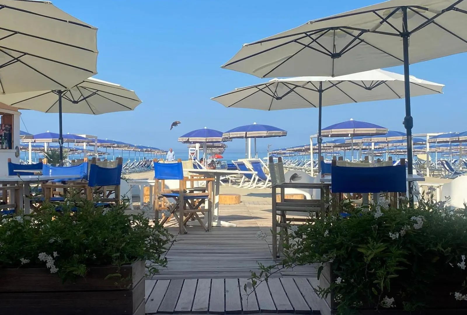 Cosmopolitan Golf & Beach Resort Tirrenia