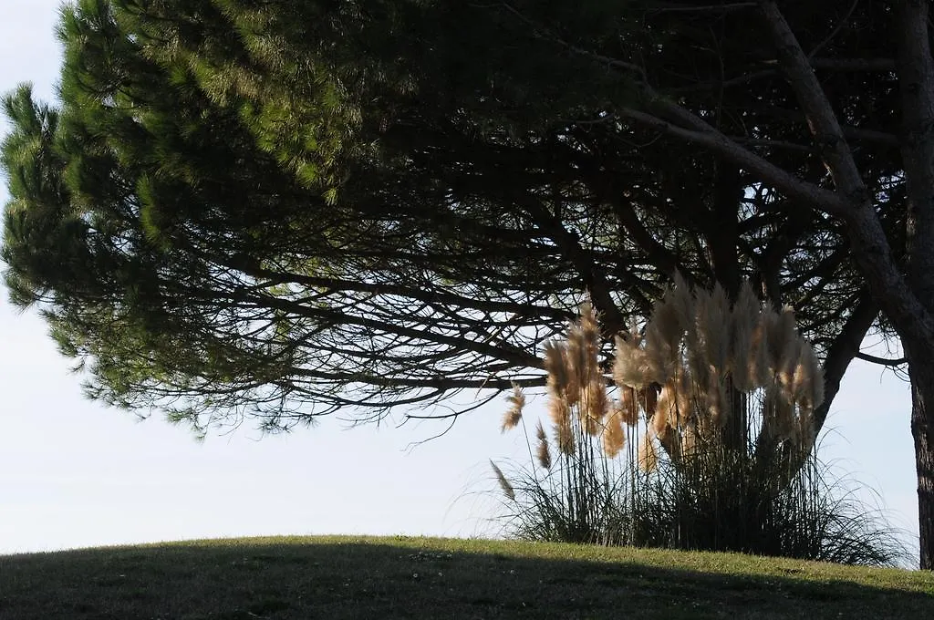 Cosmopolitan Golf & Beach Resort Tirrenia 2*,